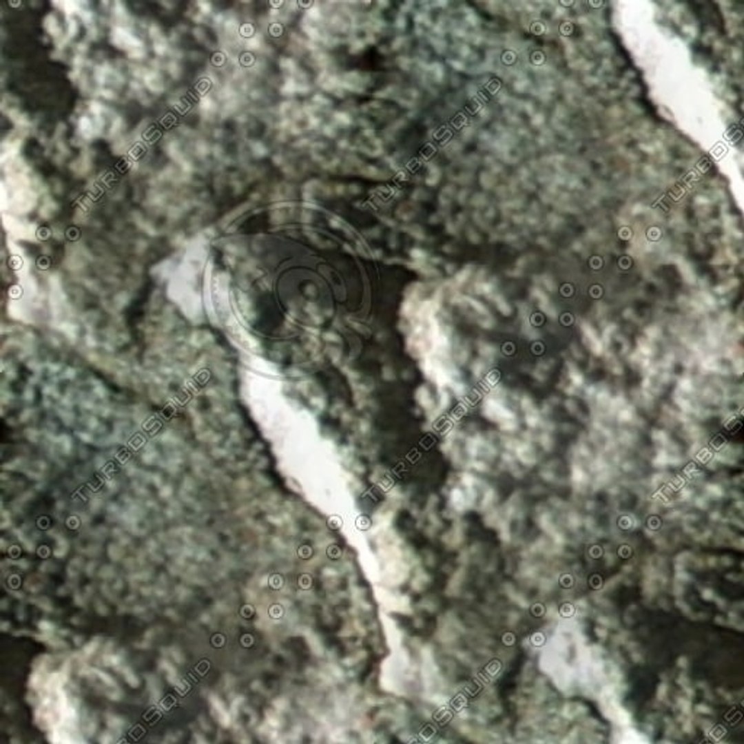  https://p.turbosquid.com/preview.turbosquid.com/Preview/2014/08/01__20_40_40/seamless rock(70).jpg5f9bd657-b14e-4dce-8667-7d728cfa20bcLarger/jpg/1289356491/1920x1080/fit_q87/48b632a527ad6f6d0757aa08ec895b65432dbba8/seamless rock(70).jpg5f9bd657-b14e-4dce-8667-7d728cfa20bcLarger.jpg